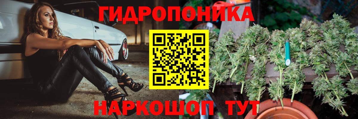 Конопля Bruce Banner  Вход с VPN  Канабис AK-47  Бошки марихуана Bruce Banner  Коряжма  Бошки Шишки Ganja 